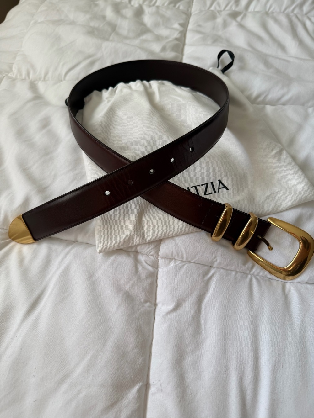 Aritzia Dark Brown Leather Belt with Gold Buckle and Tip